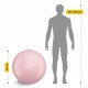 М'яч для фітнесу (фітбол) 4FIZJO 55 см Anti-Burst Pink (P-5907739316271)