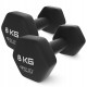 Гантелі вінілові 4FIZJO Classic 2 x 8 кг (P-5905973403214)
