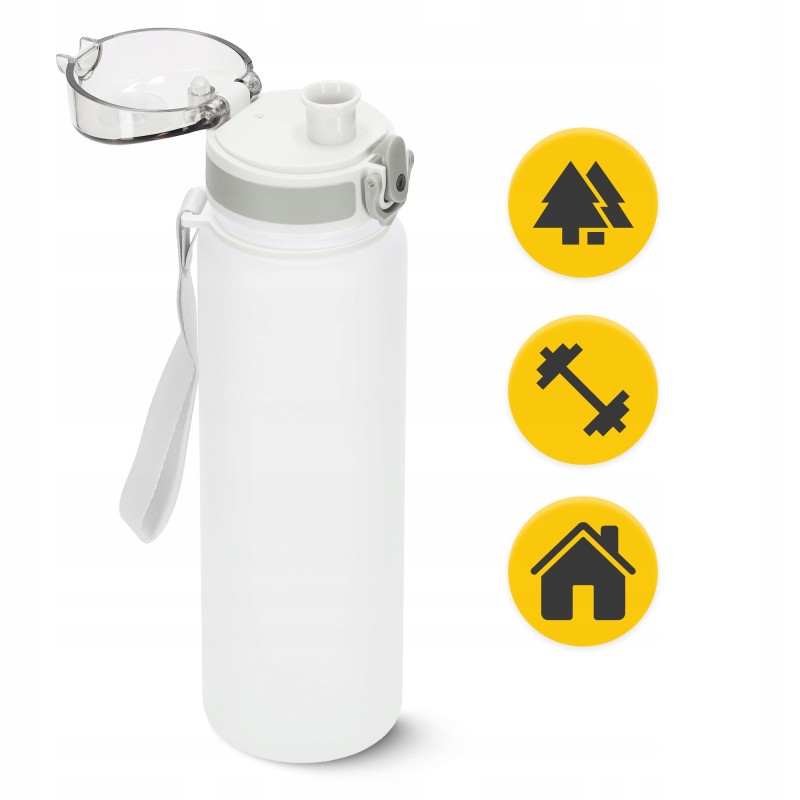 Пляшка для води спортивна 4FIZJO 650 мл Grey (P-5905973404280)