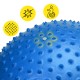 М'яч для фітнесу (фітбол) Cornix 55 см масажний Anti-Burst XR-0467 Blue