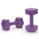 Гантелі Actiget Hex 2 x 2 кг ACT0158 Purple